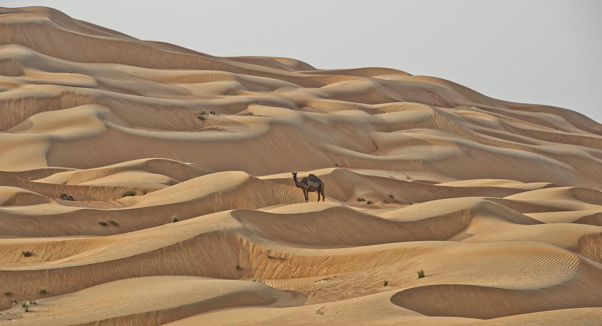 Rub Al Khali dessaert CASCADES_id number 223260